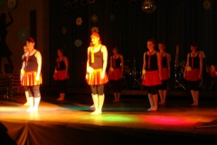 FlowerPower19