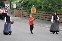 Medlingen-04-20090524