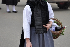 Medlingen-29-20090524