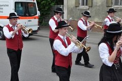 Medlingen-40-20090524