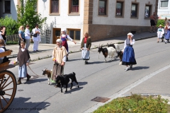 20090729_129
