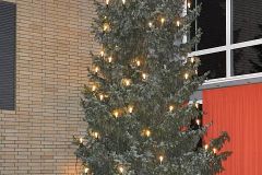 20091219_158_1