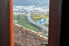 20101030_041