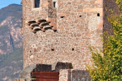 20101030_049