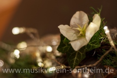 20131222-_DSC0624