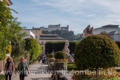 20141012-_DSC0289