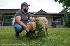 20230608-247_Z669416