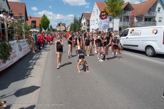 2_20230611-208_Z660288